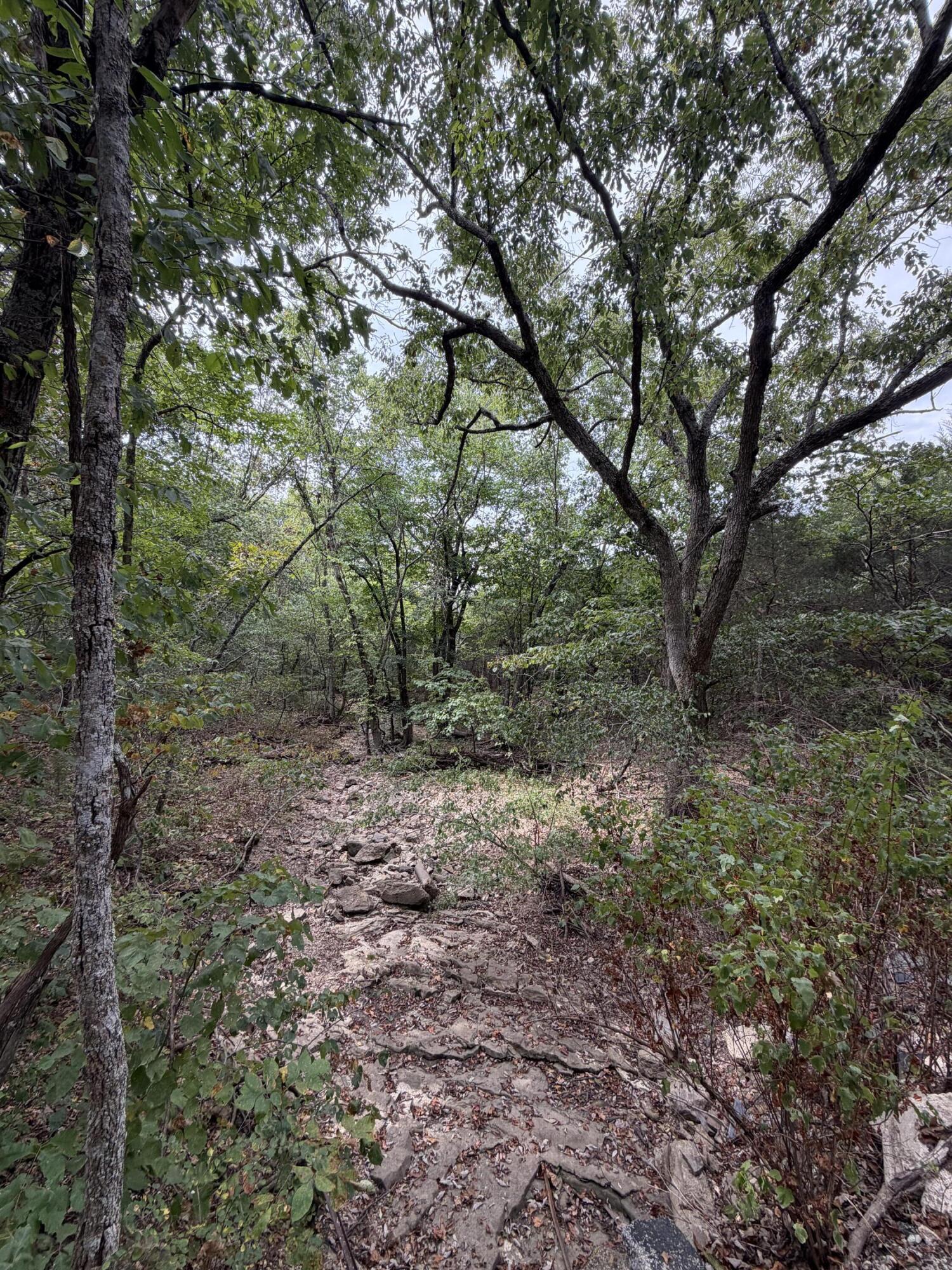 Photo 10 - Land for sale – 000  County Road 316   Urbana, MO