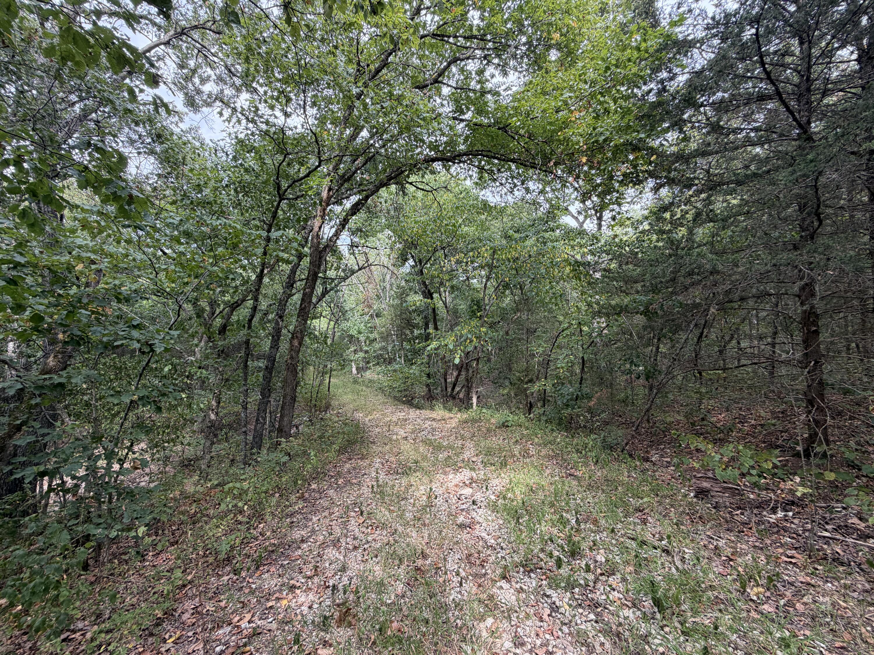 Photo 9 - Land for sale – 000  County Road 316   Urbana, MO