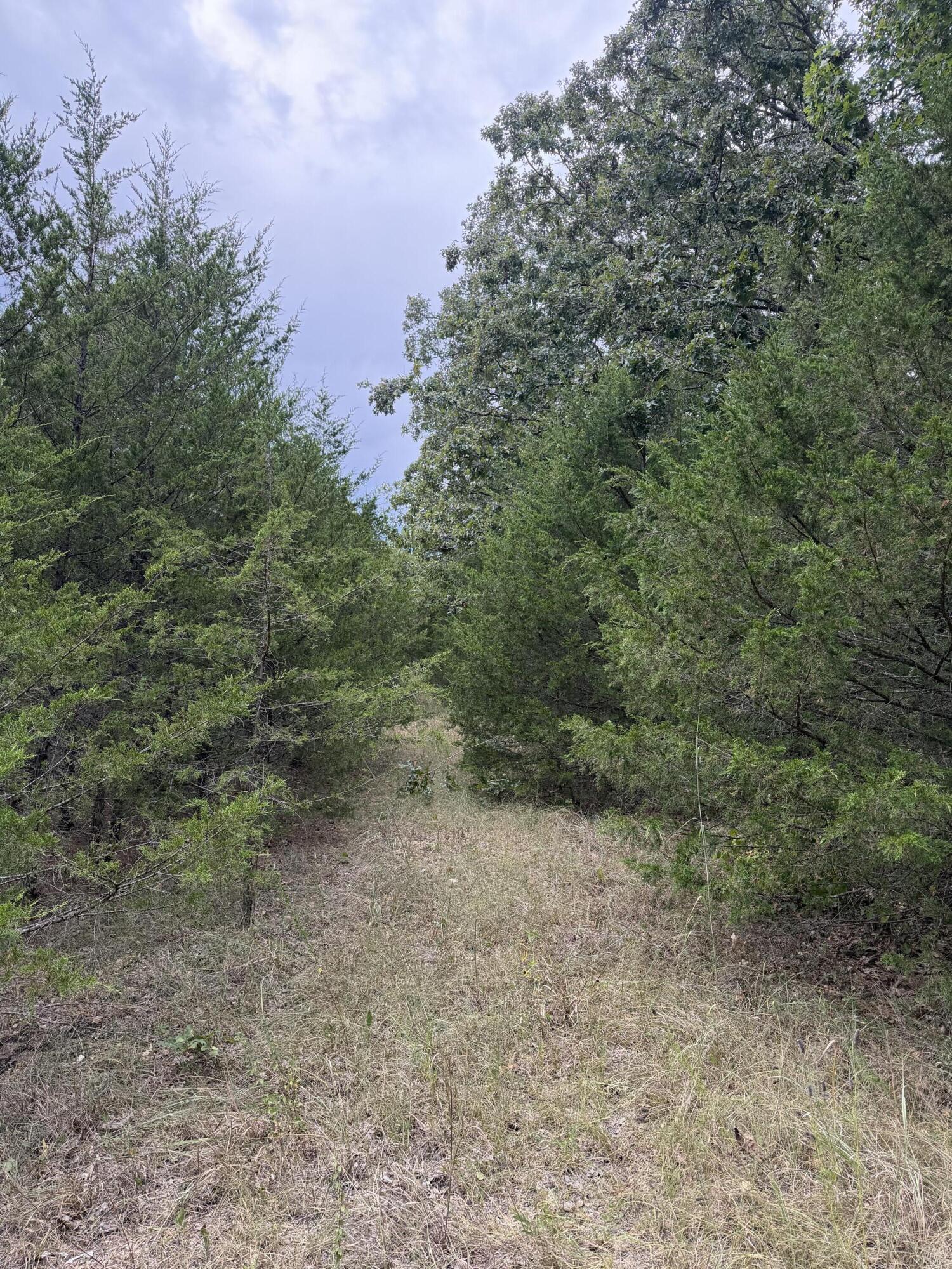 Photo 46 - Land for sale – 000  County Road 316   Urbana, MO