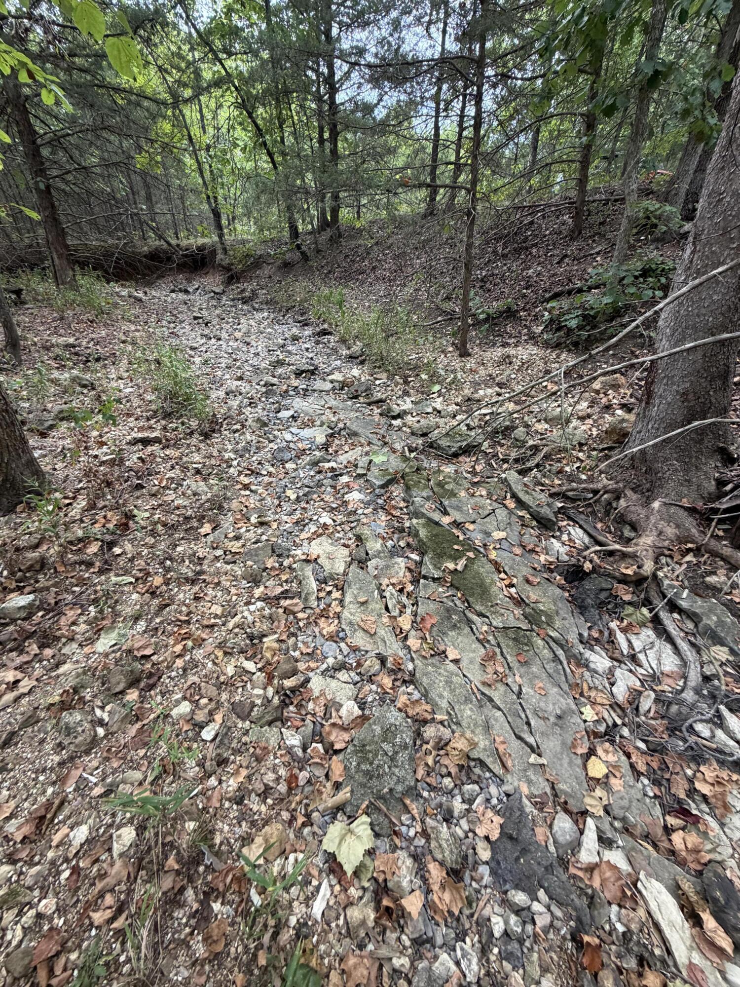 Photo 48 - Land for sale – 000  County Road 316   Urbana, MO