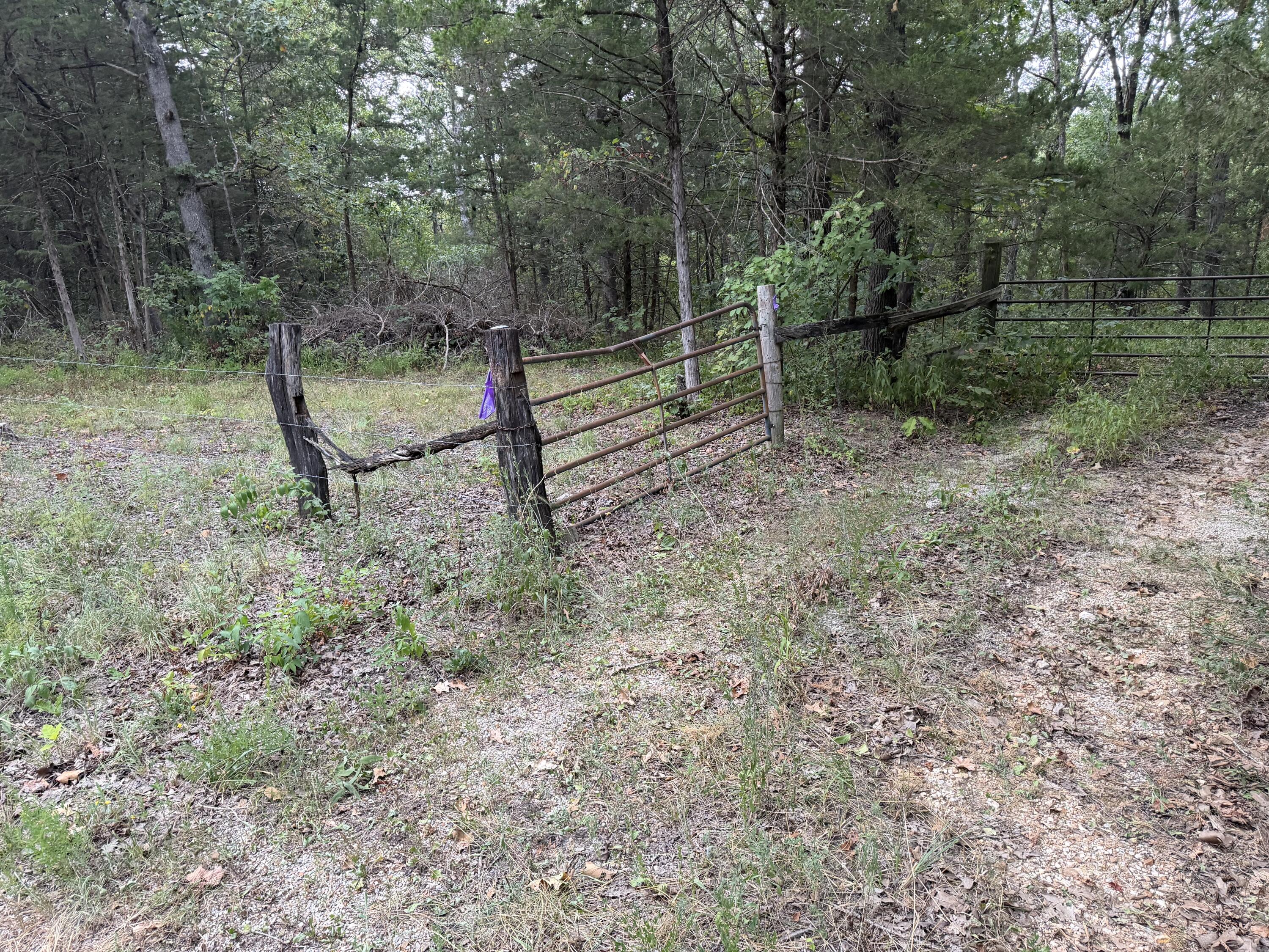 Photo 43 - Land for sale – 000  County Road 316   Urbana, MO