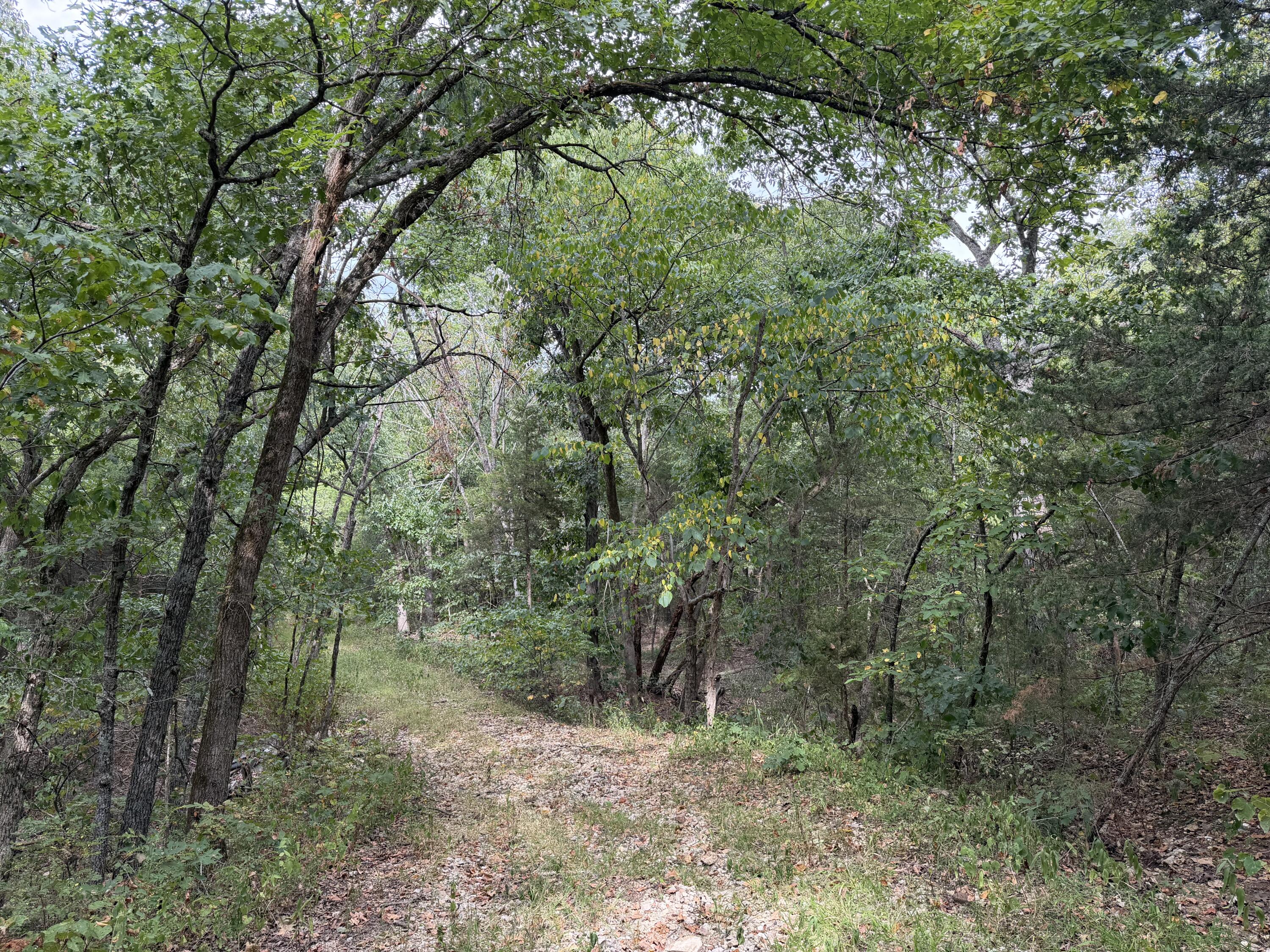 Photo 8 - Land for sale – 000  County Road 316   Urbana, MO