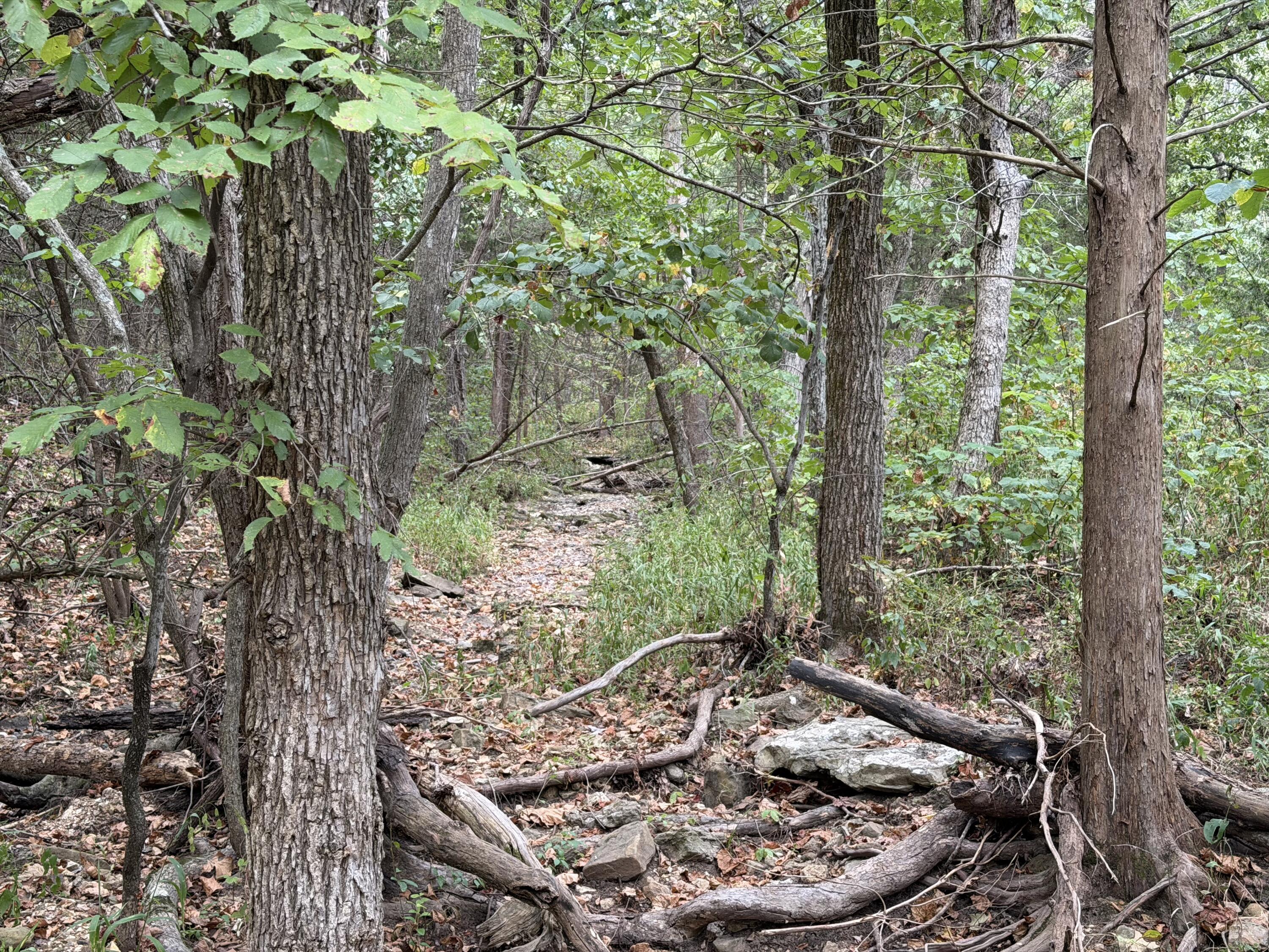 Photo 41 - Land for sale – 000  County Road 316   Urbana, MO