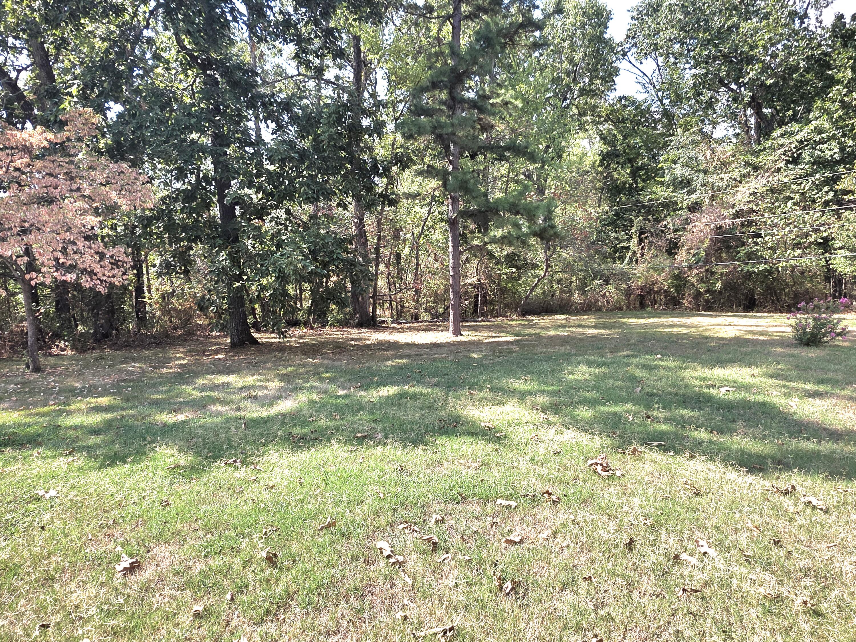 Photo 33 - Residential for sale – 1319  Briar Wood Drive  Houston, MO