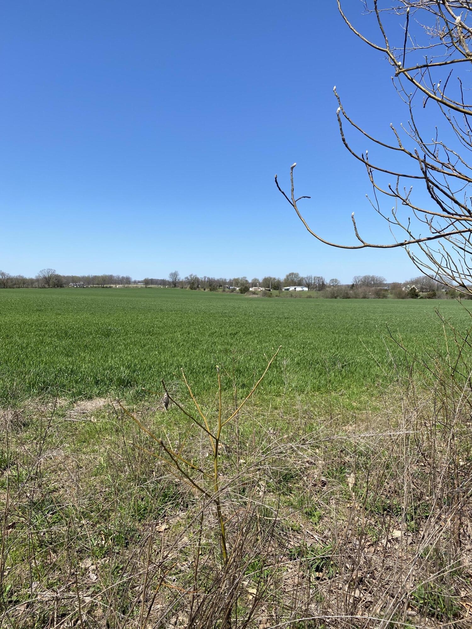 Photo 3 - Land for sale – 000  Farm Road 1090   Cassville, MO