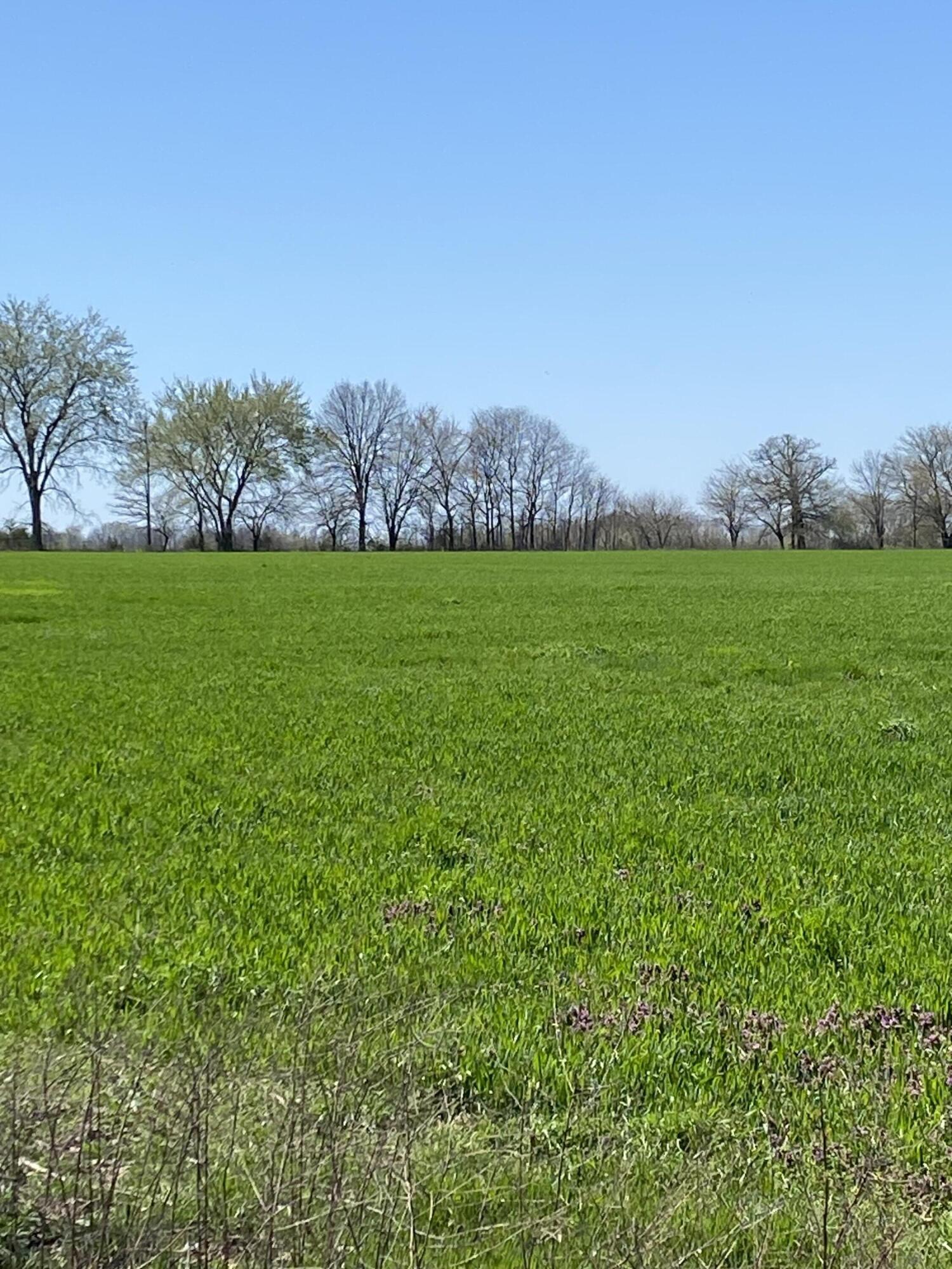 Land for sale – 000  Farm Road 1090   Cassville, MO