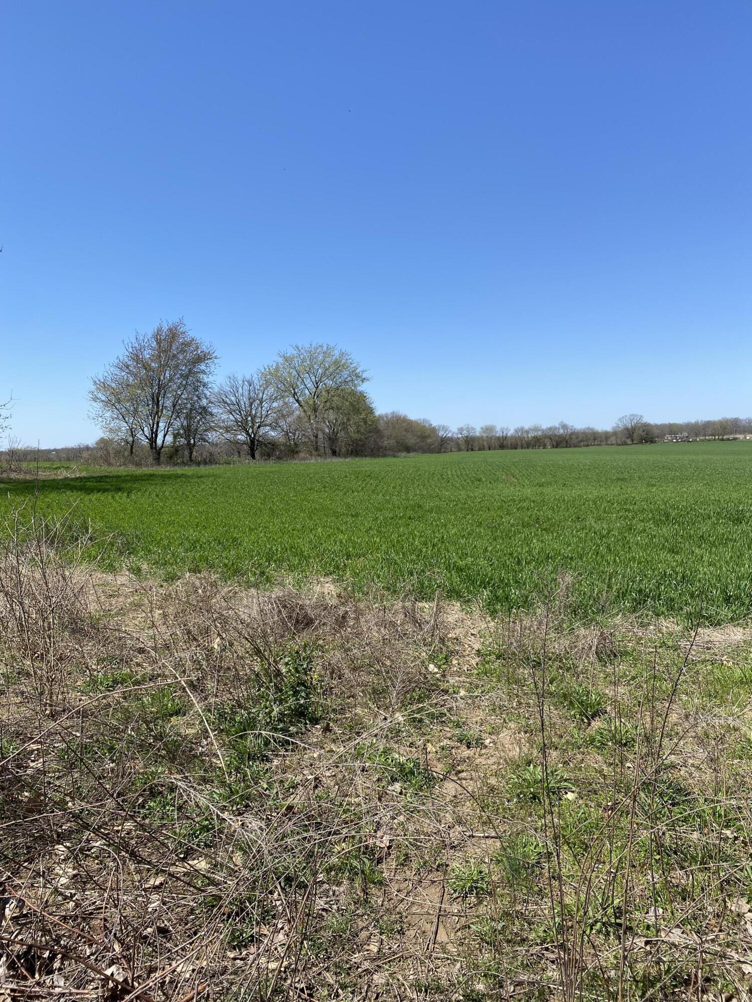 Photo 4 - Land for sale – 000  Farm Road 1090   Cassville, MO