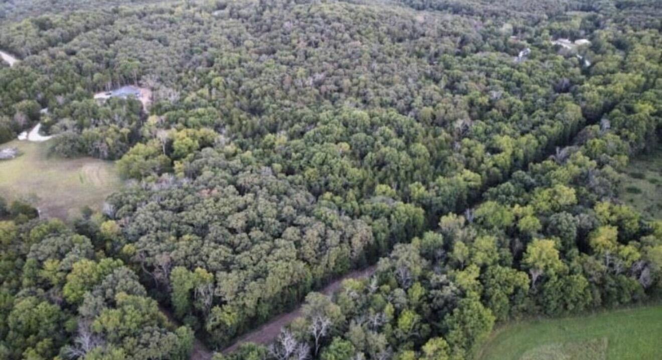 Photo 5 - Land for sale – 000  Honey Creek Drive  Strafford, MO