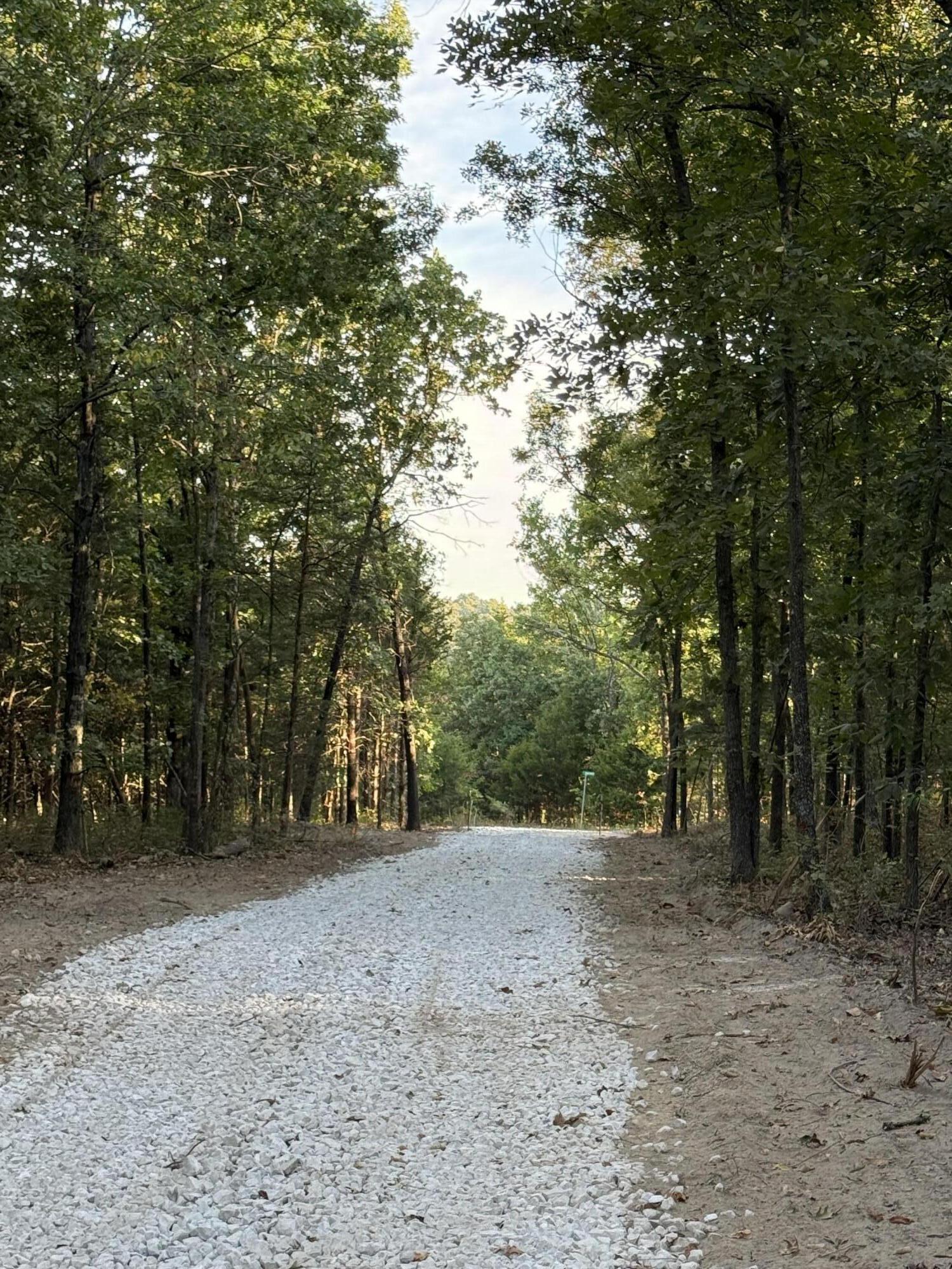 Photo 7 - Land for sale – 000  Honey Creek Drive  Strafford, MO
