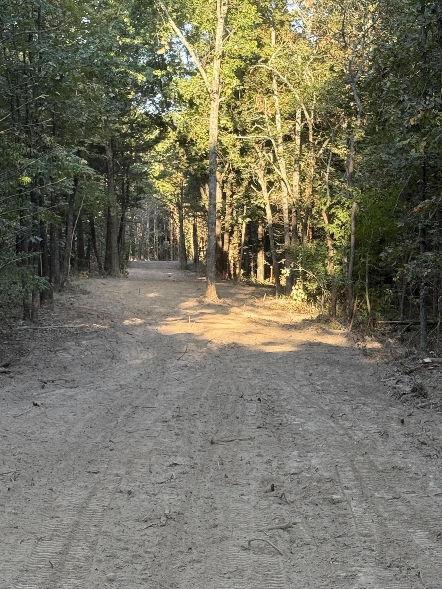 Photo 6 - Land for sale – 000  Honey Creek Drive  Strafford, MO