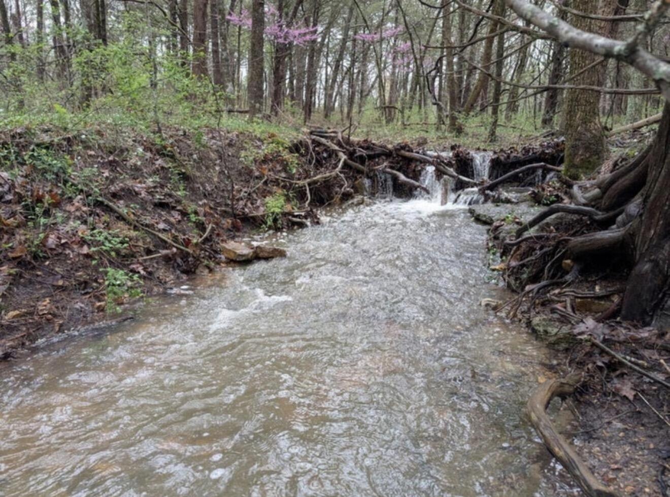 Photo 3 - Land for sale – 000  Honey Creek Drive  Strafford, MO