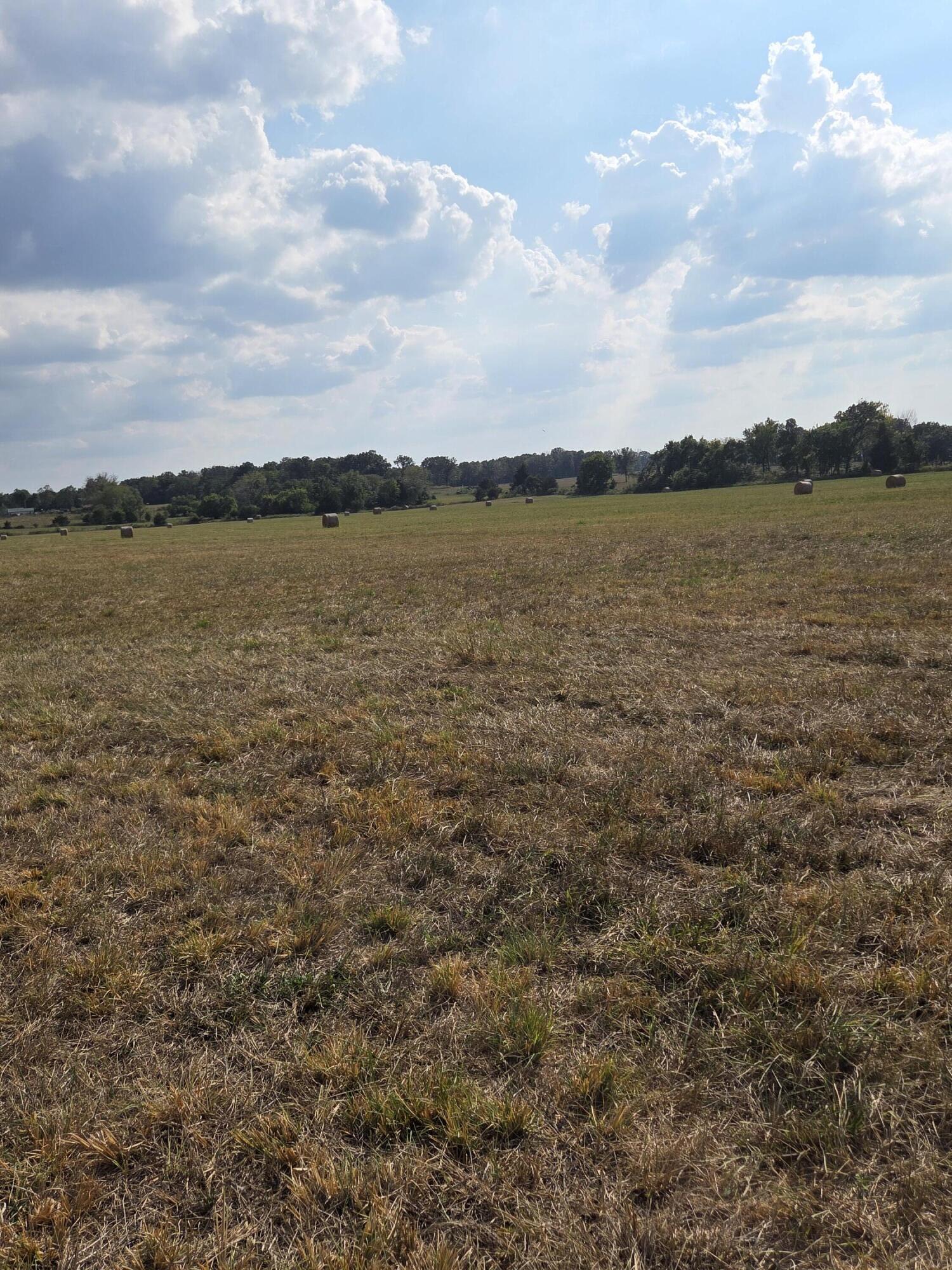 Photo 5 - Land for sale – 000 S 62nd Road  Dunnegan, MO