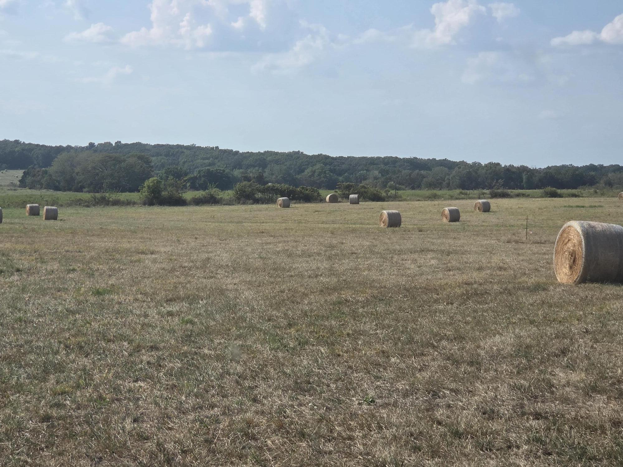 Photo 2 - Land for sale – 000 S 62nd Road  Dunnegan, MO