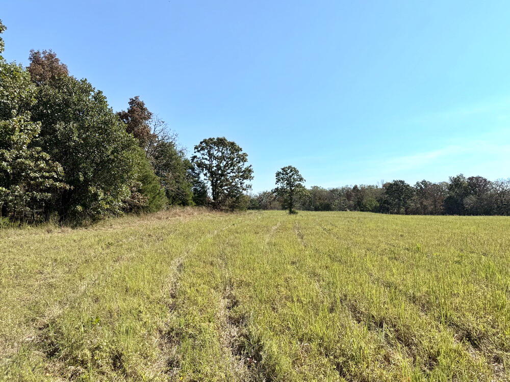 Photo 17 - Land for sale – 000 SW 778   Osceola, MO