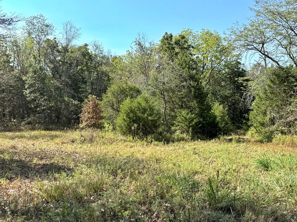 Photo 22 - Land for sale – 000 SW 778   Osceola, MO