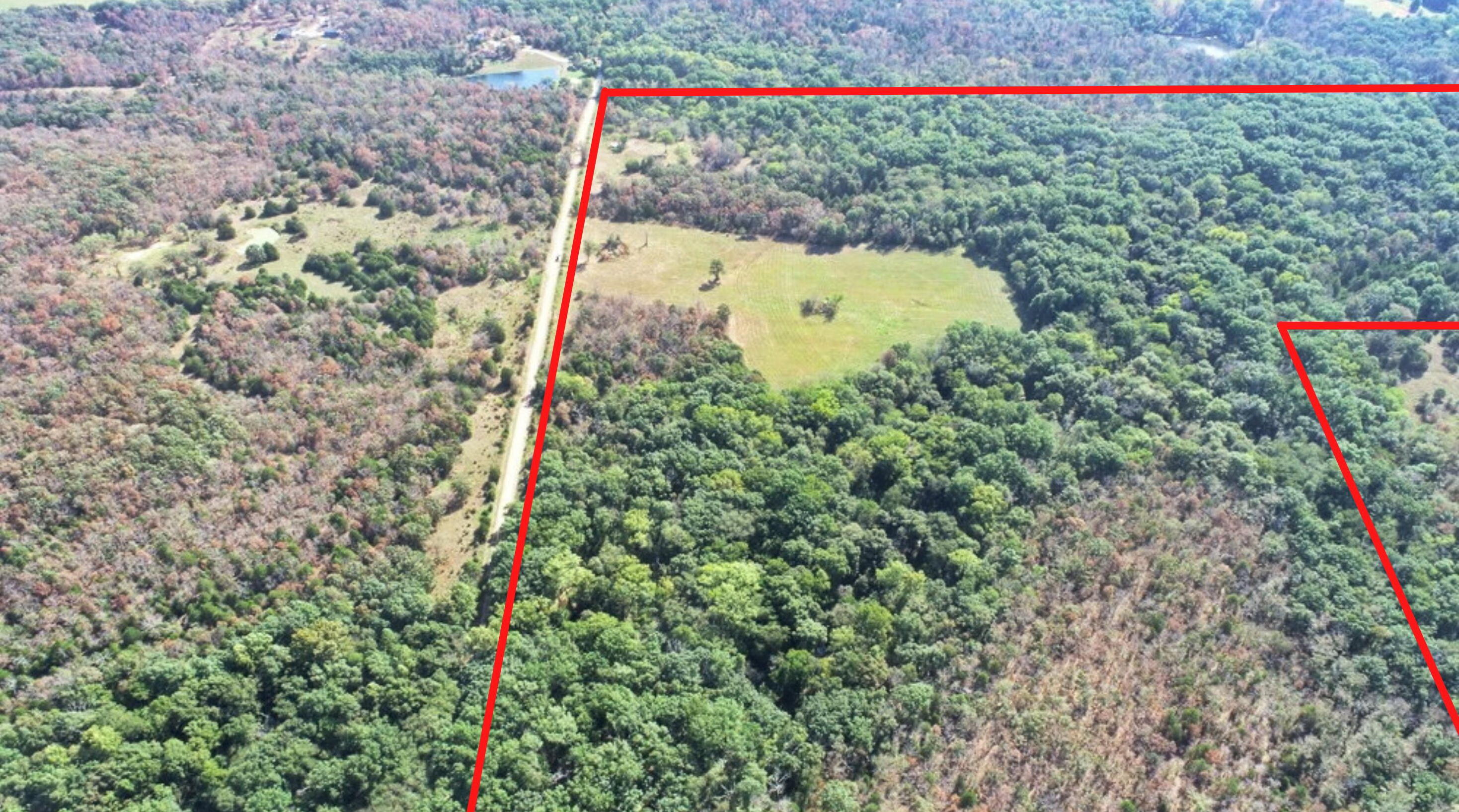 Photo 4 - Land for sale – 000 SW 778   Osceola, MO