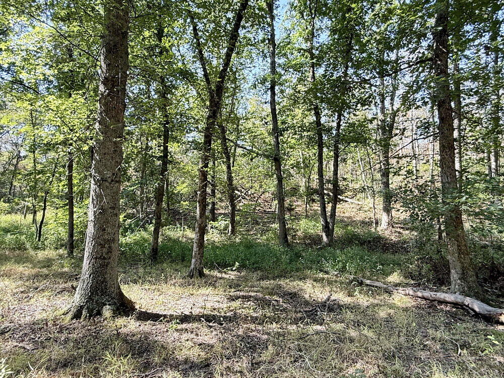 Photo 40 - Land for sale – 000 SW 778   Osceola, MO