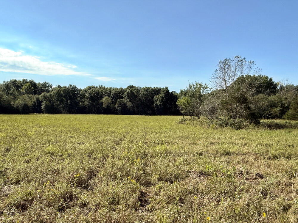 Photo 15 - Land for sale – 000 SW 778   Osceola, MO