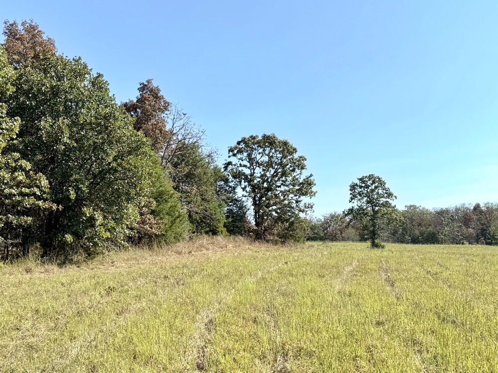 Photo 16 - Land for sale – 000 SW 778   Osceola, MO