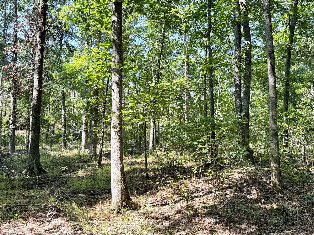 Photo 36 - Land for sale – 000 SW 778   Osceola, MO