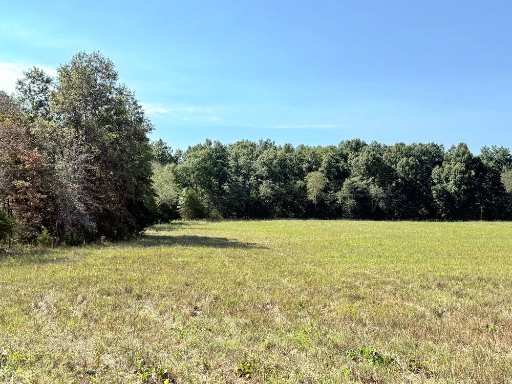 Photo 12 - Land for sale – 000 SW 778   Osceola, MO