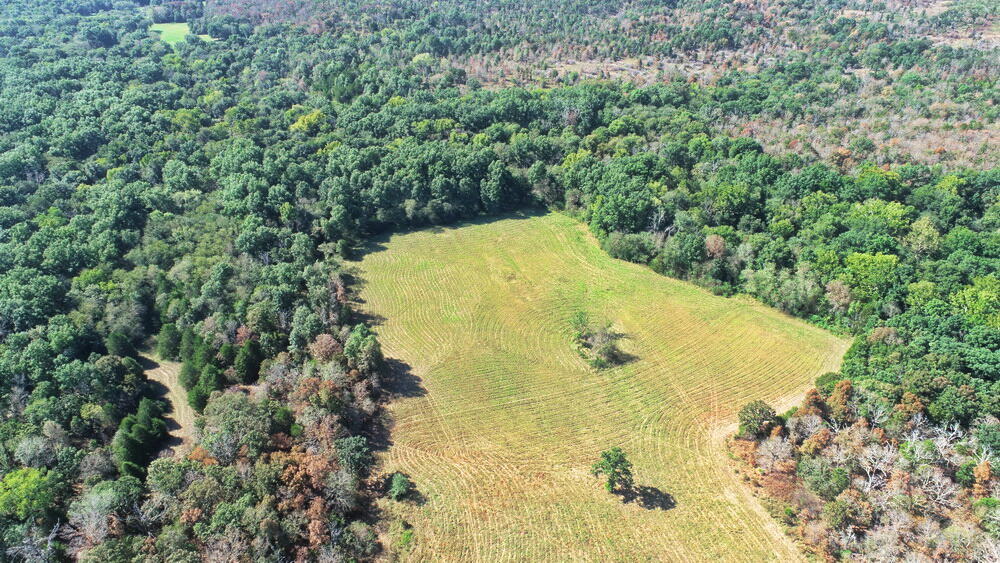 Photo 8 - Land for sale – 000 SW 778   Osceola, MO
