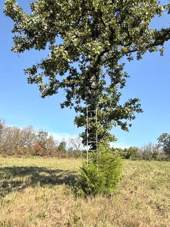 Photo 14 - Land for sale – 000 SW 778   Osceola, MO