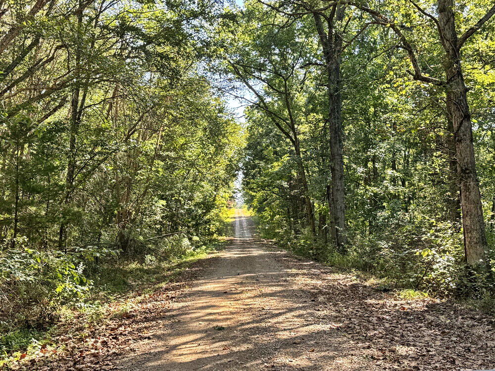 Photo 9 - Land for sale – 000 SW 778   Osceola, MO