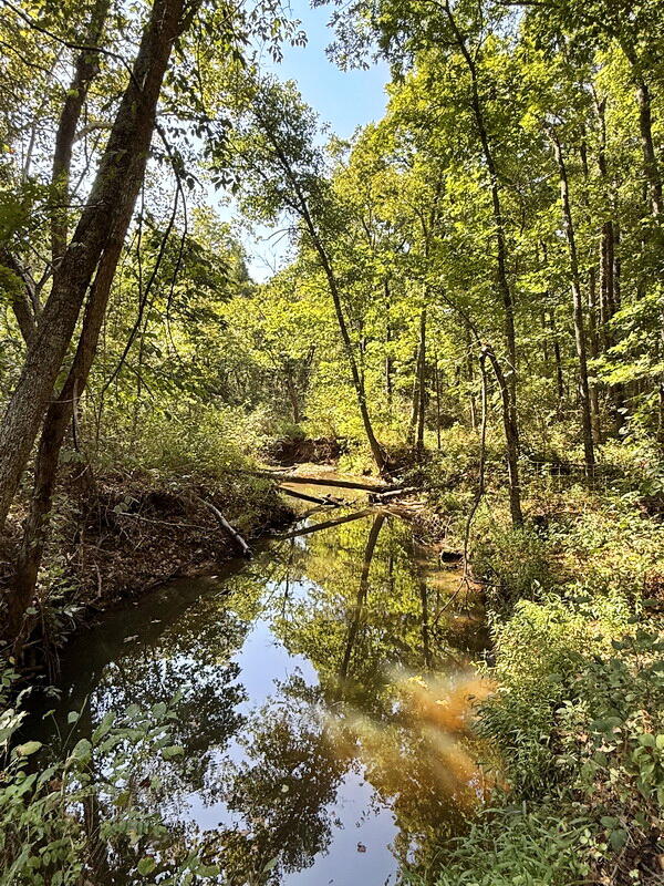 Photo 25 - Land for sale – 000 SW 778   Osceola, MO