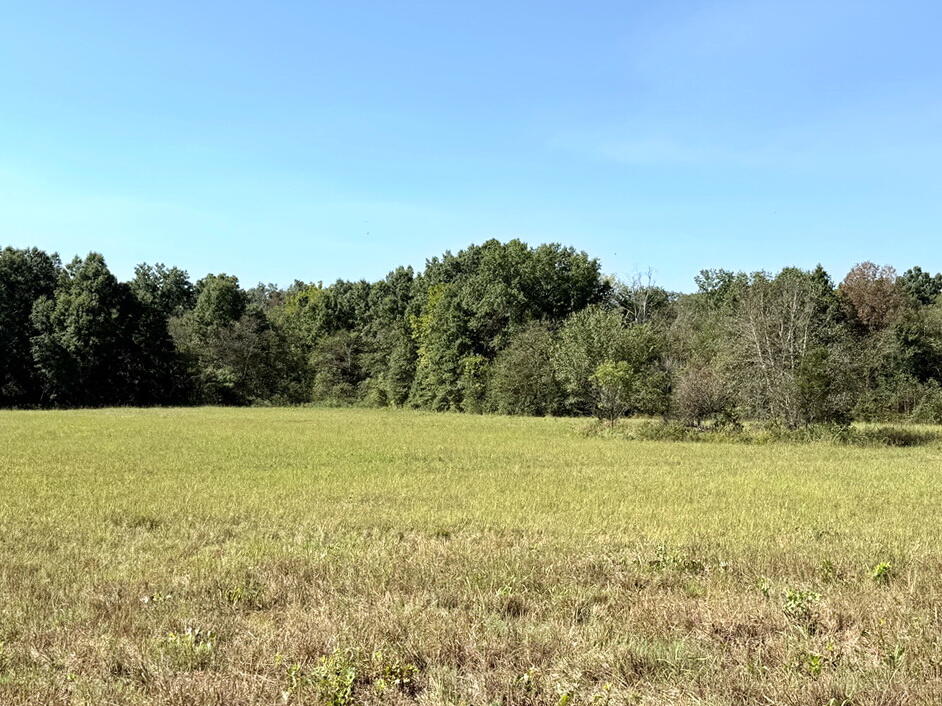 Photo 13 - Land for sale – 000 SW 778   Osceola, MO