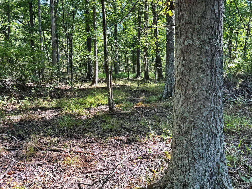 Photo 30 - Land for sale – 000 SW 778   Osceola, MO