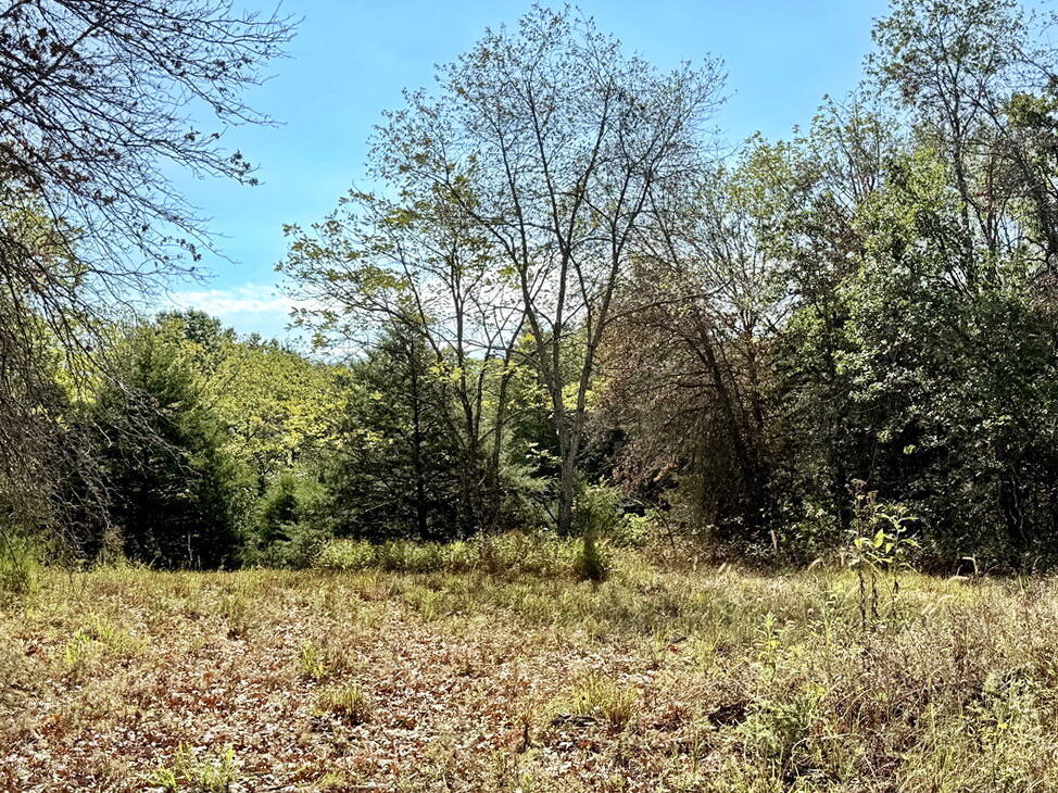 Photo 21 - Land for sale – 000 SW 778   Osceola, MO