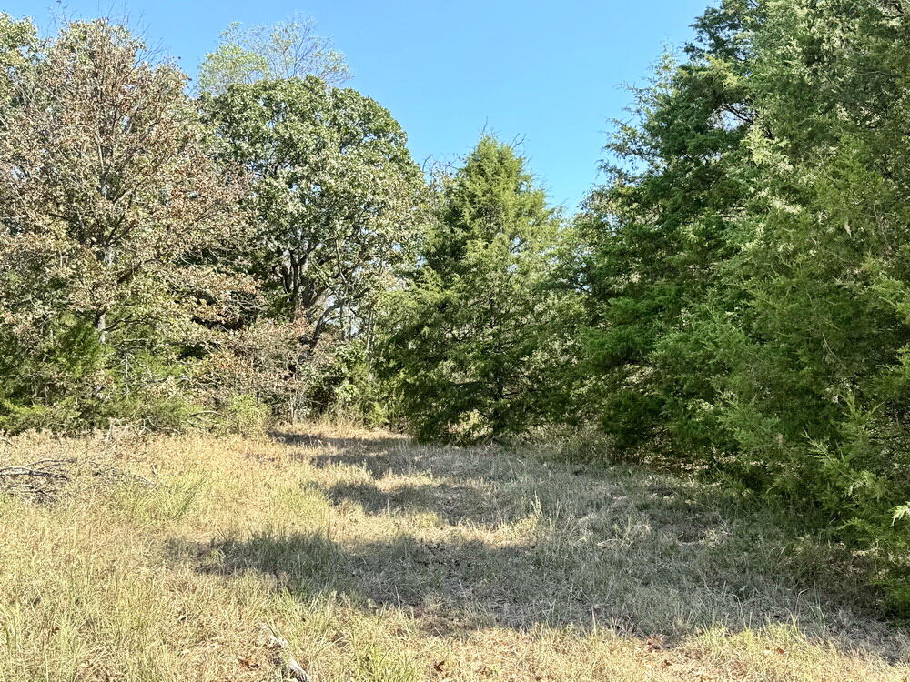 Photo 20 - Land for sale – 000 SW 778   Osceola, MO