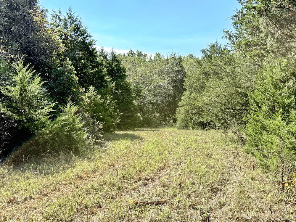 Photo 19 - Land for sale – 000 SW 778   Osceola, MO