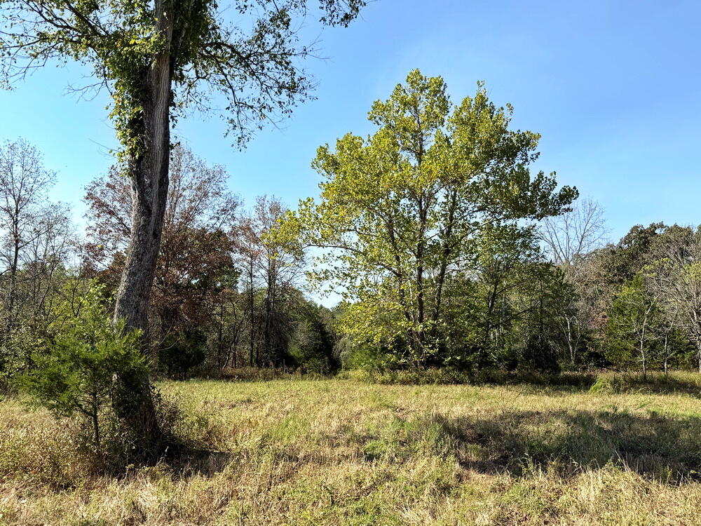 Photo 23 - Land for sale – 000 SW 778   Osceola, MO