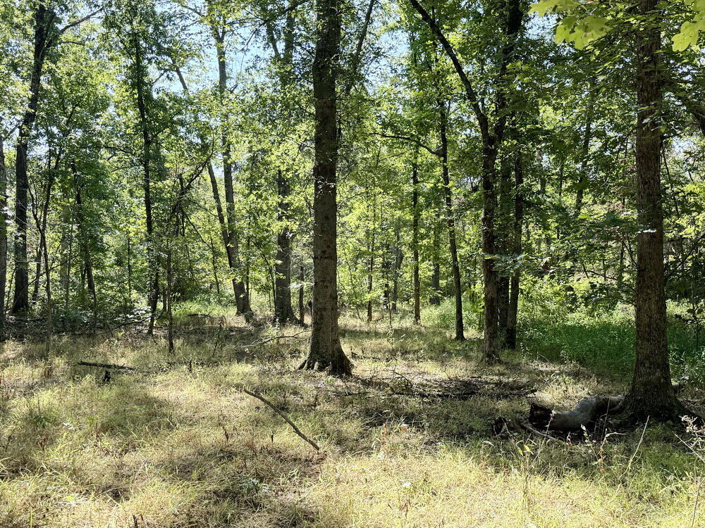 Photo 38 - Land for sale – 000 SW 778   Osceola, MO