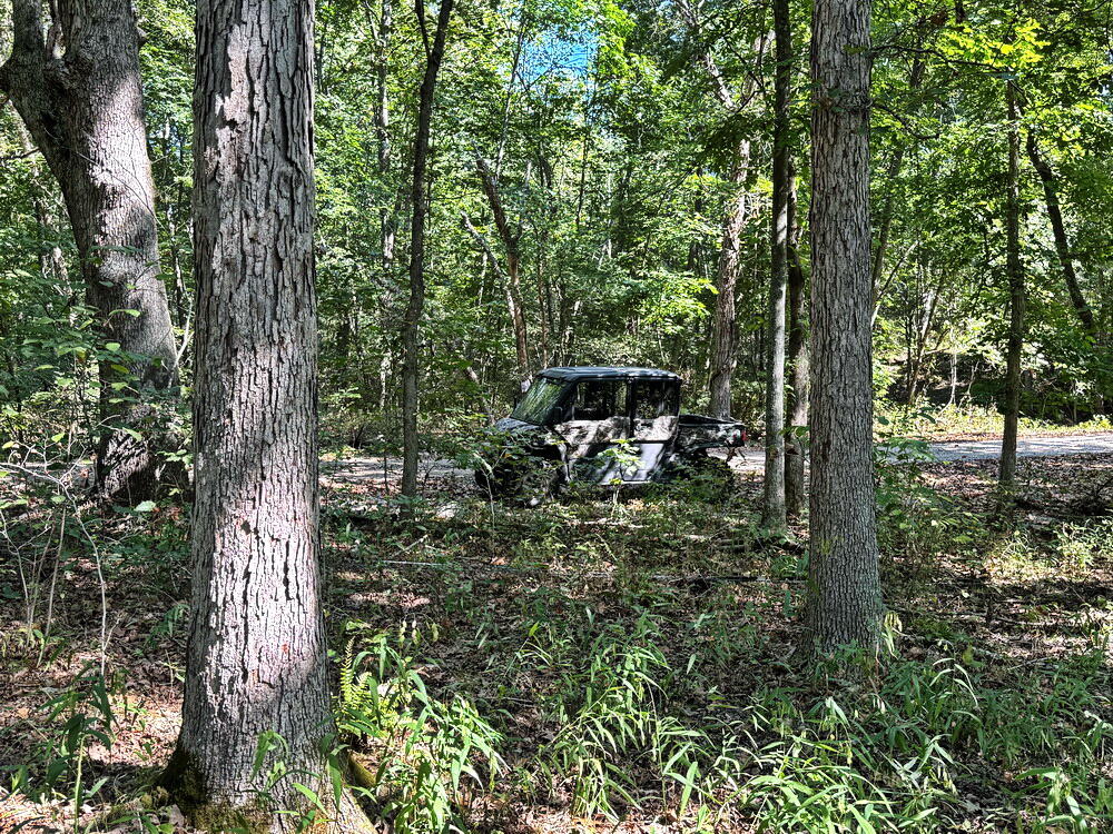 Photo 31 - Land for sale – 000 SW 778   Osceola, MO