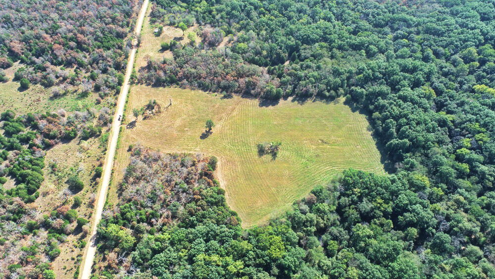 Photo 6 - Land for sale – 000 SW 778   Osceola, MO