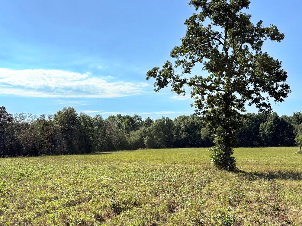 Photo 11 - Land for sale – 000 SW 778   Osceola, MO