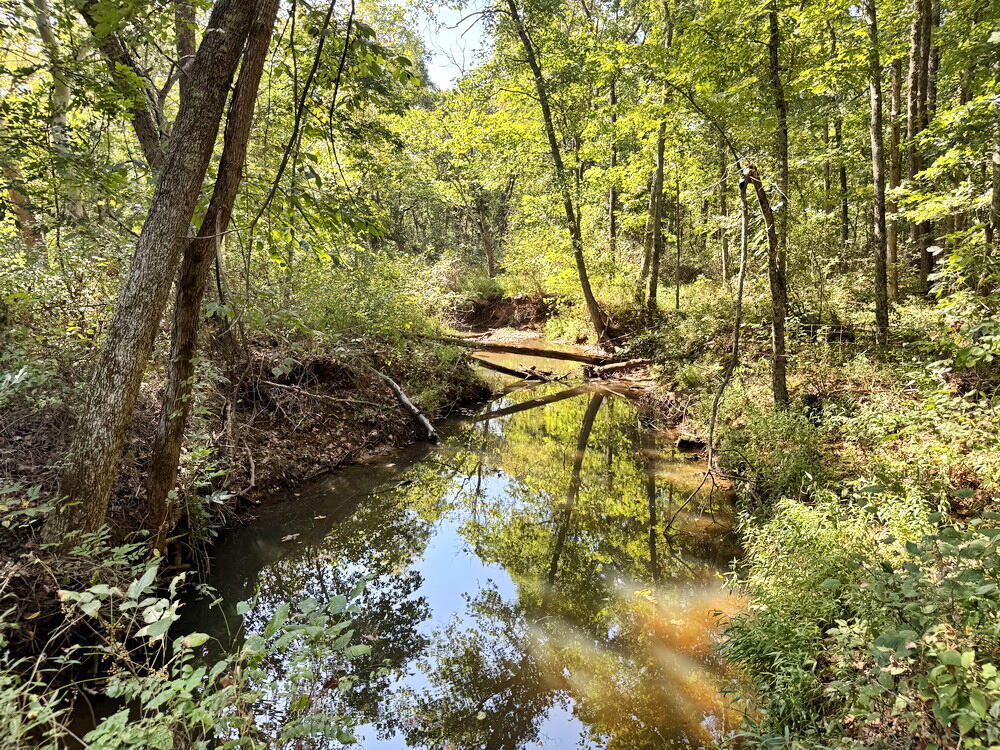Photo 24 - Land for sale – 000 SW 778   Osceola, MO