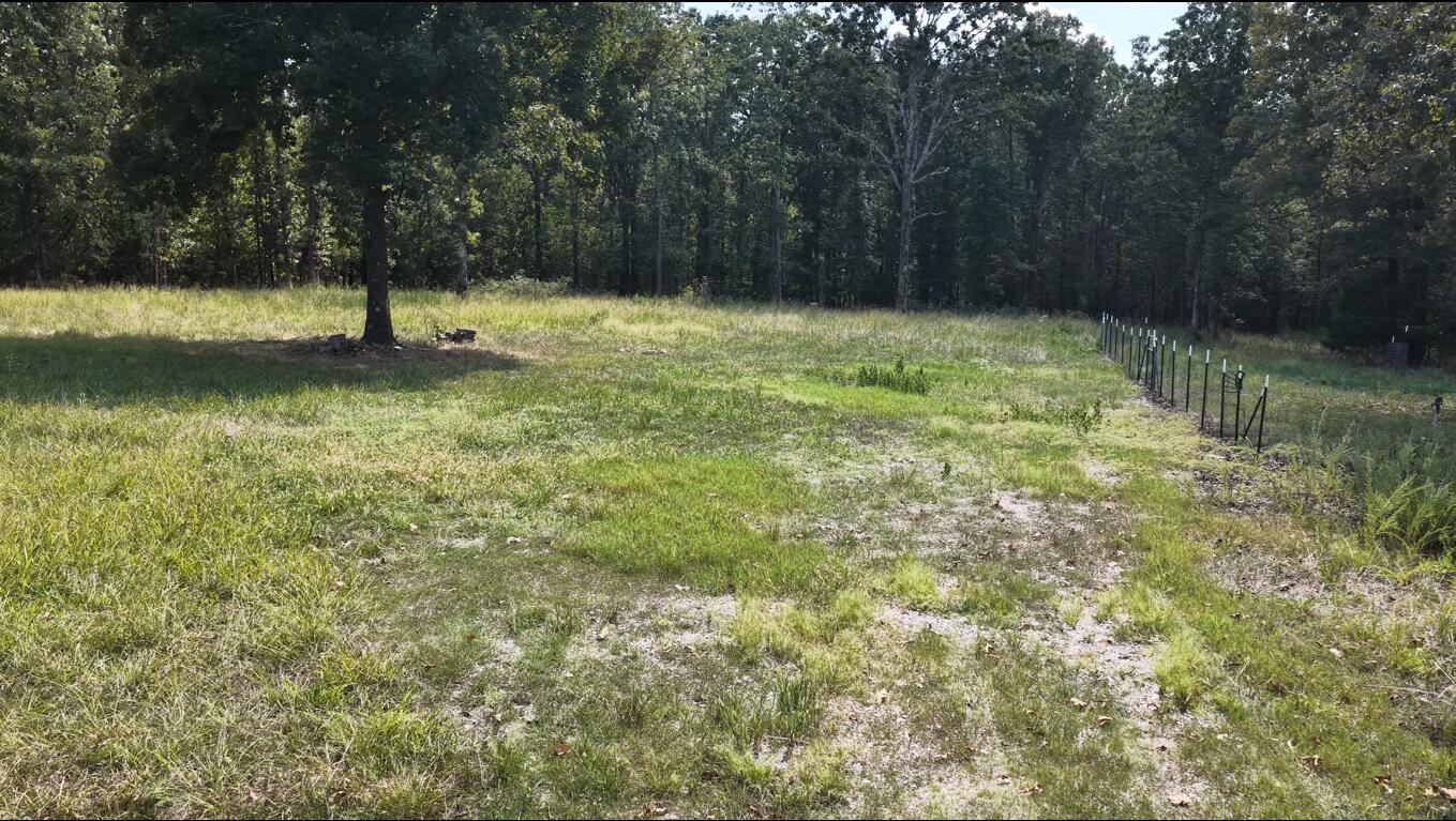 Photo 6 - Land for sale – 4254  State Highway V   Myrtle, MO