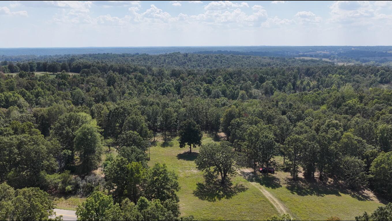 Photo 2 - Land for sale – 4254  State Highway V   Myrtle, MO