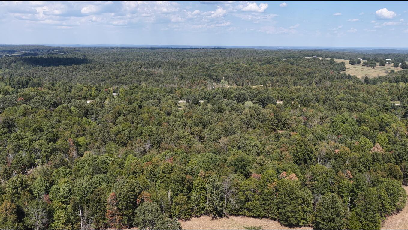 Photo 3 - Land for sale – 4254  State Highway V   Myrtle, MO