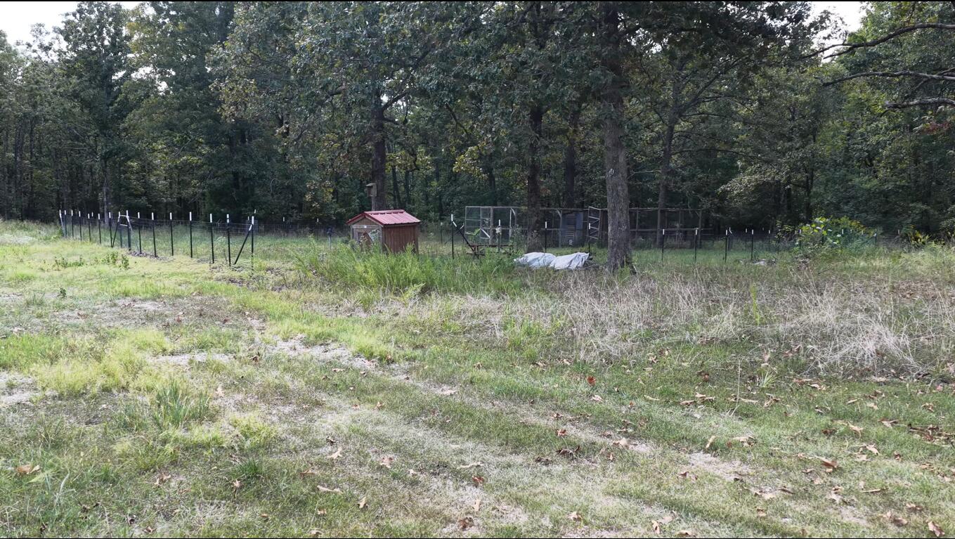 Photo 10 - Land for sale – 4254  State Highway V   Myrtle, MO