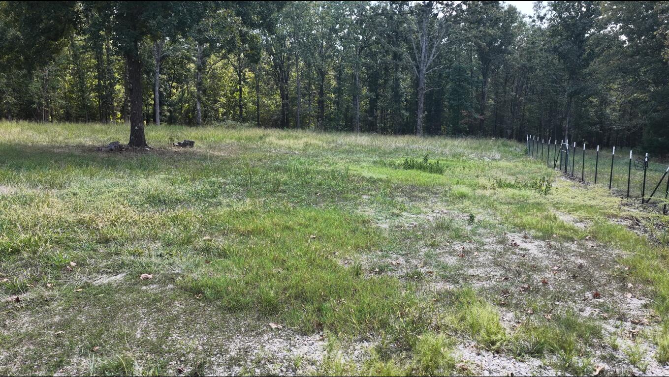 Photo 7 - Land for sale – 4254  State Highway V   Myrtle, MO