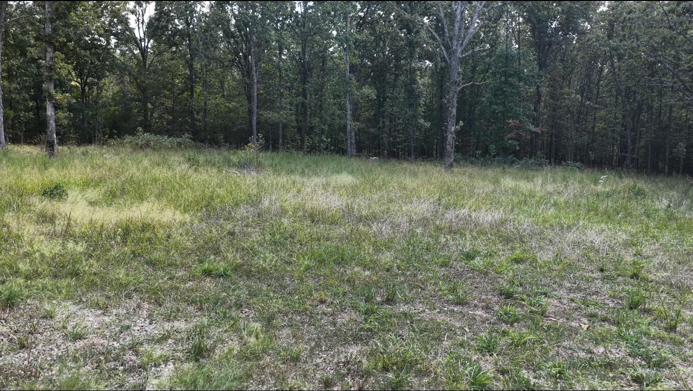 Photo 8 - Land for sale – 4254  State Highway V   Myrtle, MO