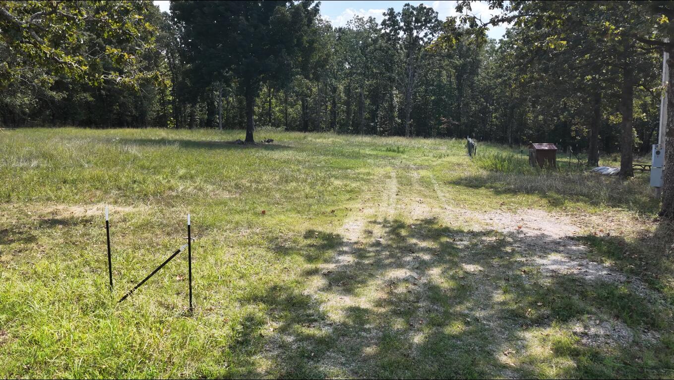 Photo 4 - Land for sale – 4254  State Highway V   Myrtle, MO