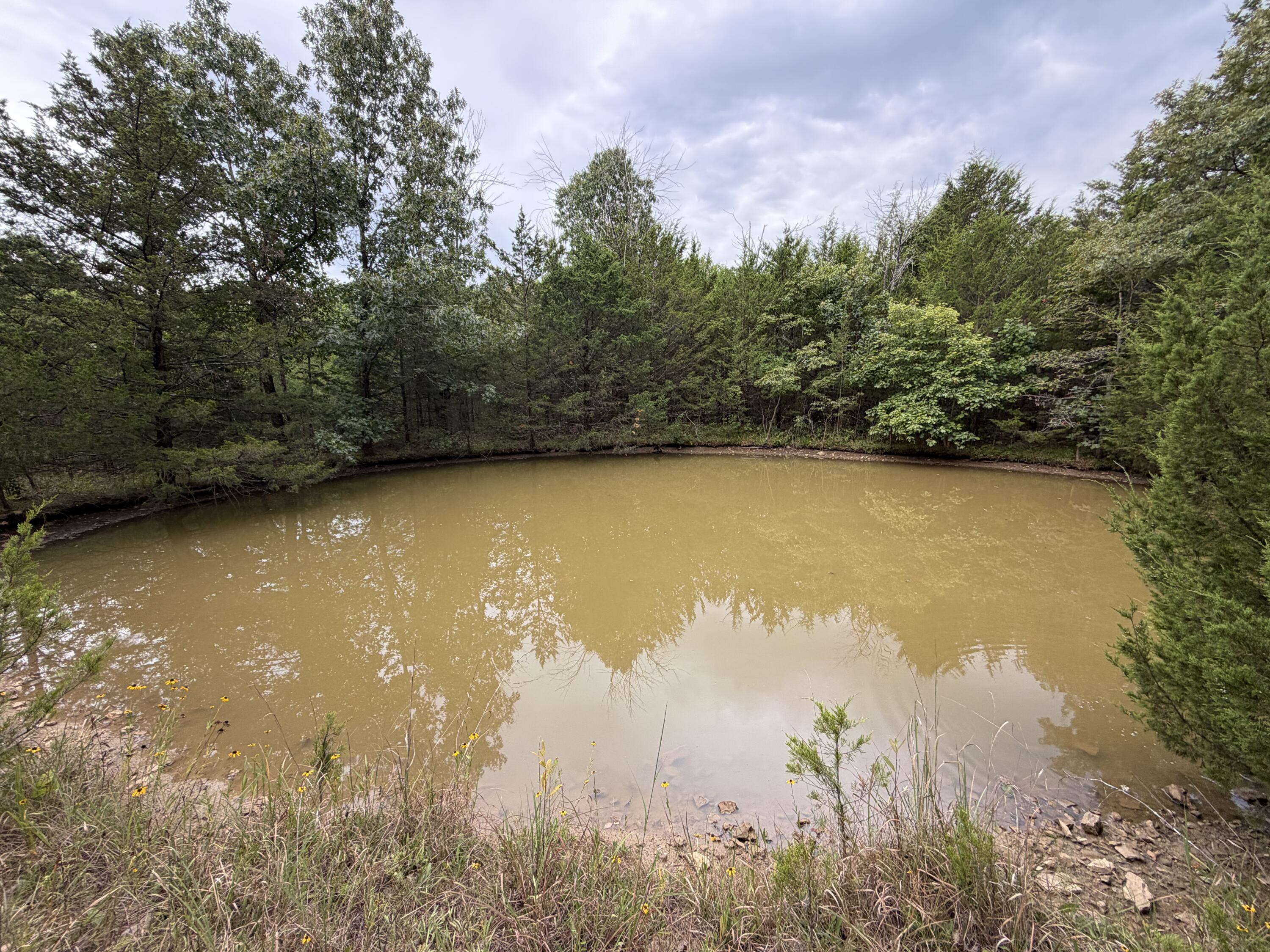 Photo 3 - Residential for sale – 000  County Road 316   Urbana, MO
