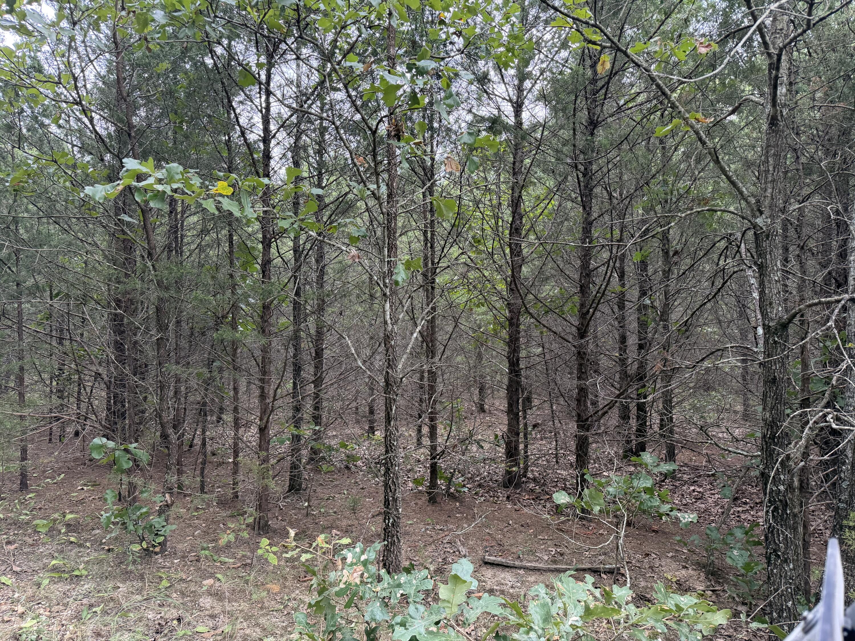 Photo 15 - Residential for sale – 000  County Road 316   Urbana, MO