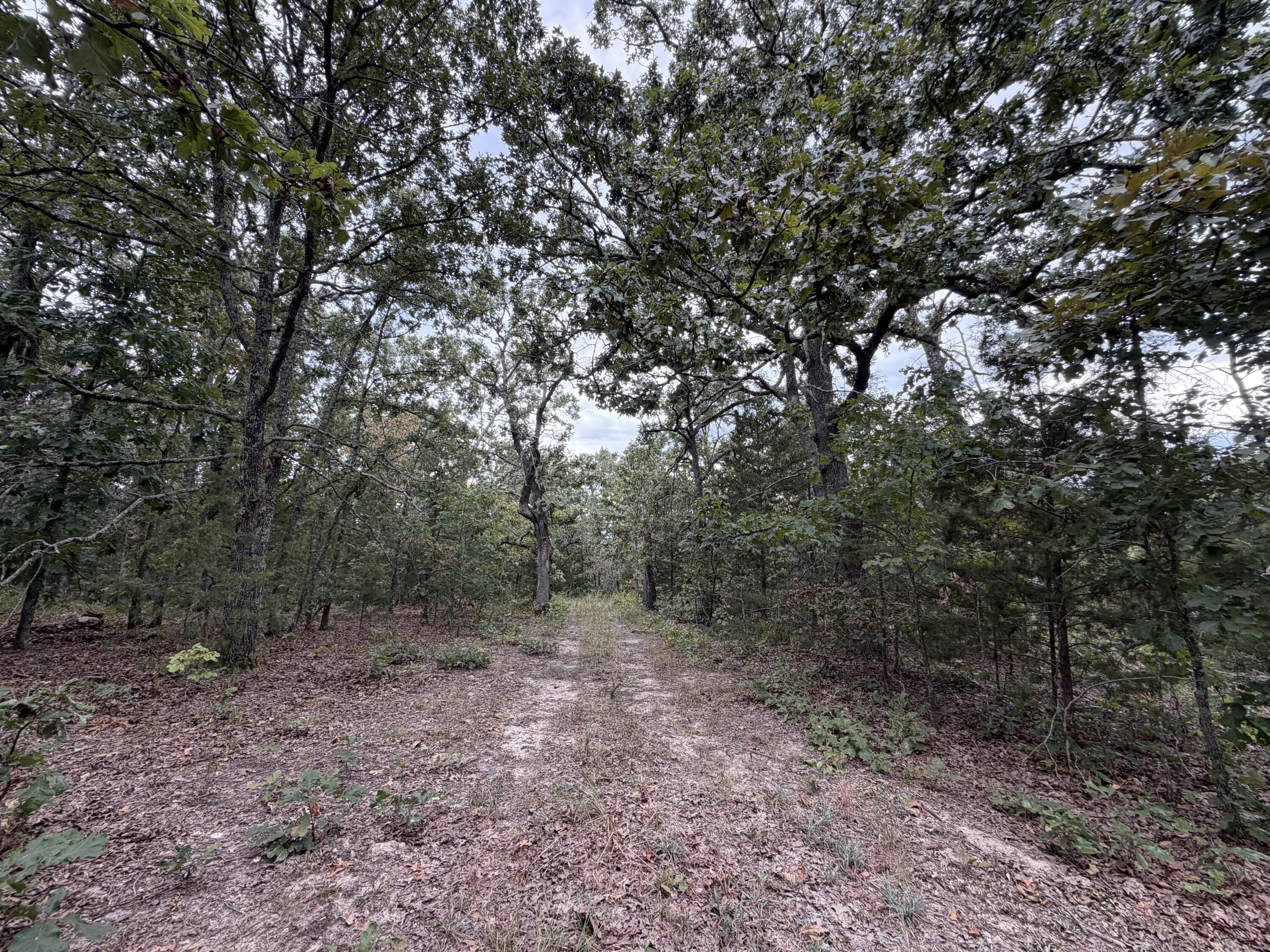 Photo 14 - Residential for sale – 000  County Road 316   Urbana, MO